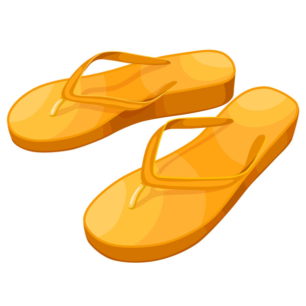 Flip flops - Вектор, зображення