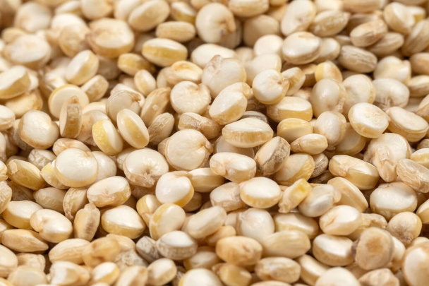 Niegotowane makro zdjęcie quinoa zbliżenie selektywne. - Zdjęcie, obraz