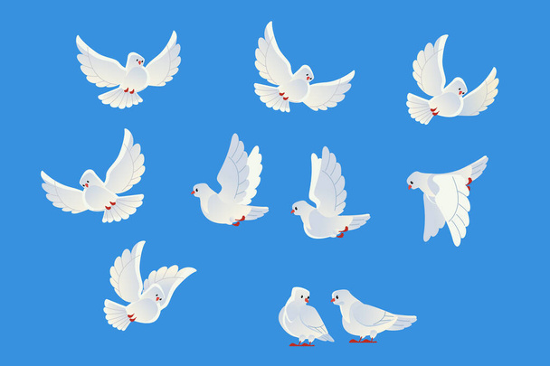 Palomas blancas. Hermosas palomas símbolo de fe y amor. Estilo de dibujos animados. Aislado sobre fondo azul. Ilustración vectorial. - Vector, imagen