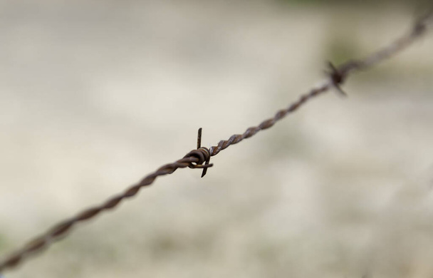 Barbed wire against immigration, human liberation, protection - Photo, Image