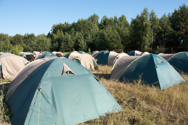 Zelten. viele Zelte. - Foto, Bild