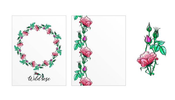 un conjunto de postales con flores de rosas. Flores rosas. Rosa.. - Vector, imagen