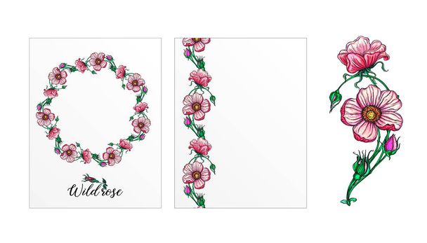 un conjunto de postales con flores de rosas. Flores rosas. Rosa.. - Vector, imagen