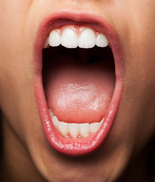 Зубы префекта
 - Фото, изображение