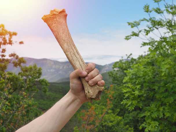 Primitive man holds an animal shinbone (club) in his hand against background of green forest, mountains and blue sky with clouds. Concept of primitive man, killing of animals. Strength and brutality. - Photo, Image