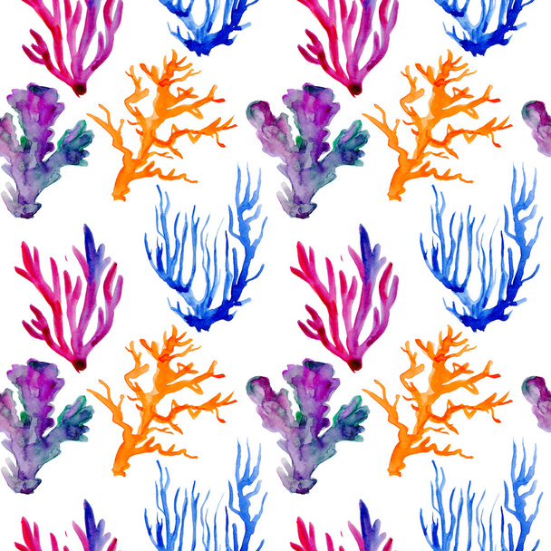 patrón de corales marinos
 - Foto, Imagen