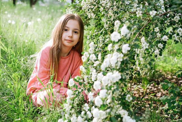 little kind girl in a pink velor suit in the spring in the park near a flowering bush with white flowers - Photo, Image