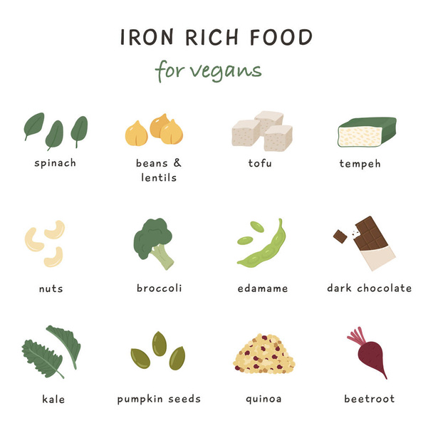 Collection of food containing Iron. Red meat, liver, sea food, egg, beans and nuts. Dietetic organic nutrition. Different healthy products information card. Iron rich food sources.  - Vector, Image