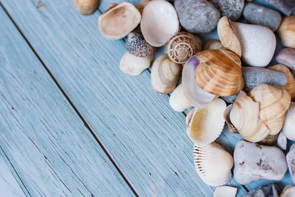 Summer beach background, seashells on light blue background. Top view. Sea summer vacation background - Photo, Image