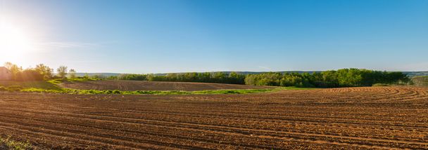 Panorama of agricultural field in springtime - Photo, Image