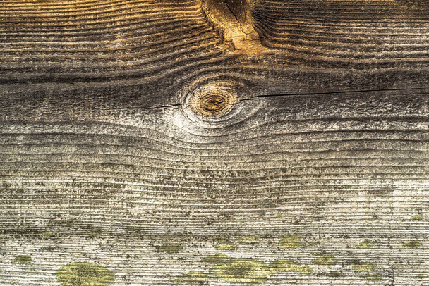 Old wooden plank background texture. - Φωτογραφία, εικόνα