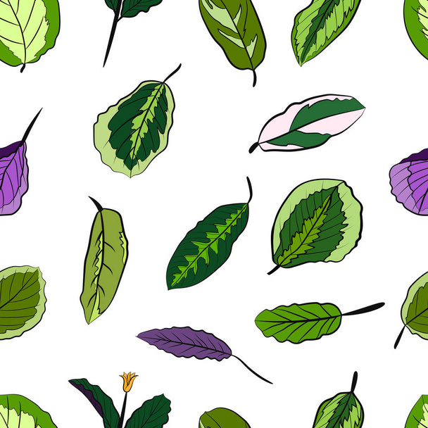 Seamless pattern with of caladium leaf set. Caladium. Caladium leaf set. The leaves of the caladium plant. Hand drawn set of calladium leaves. Botanical illustration.  - Vektör, Görsel