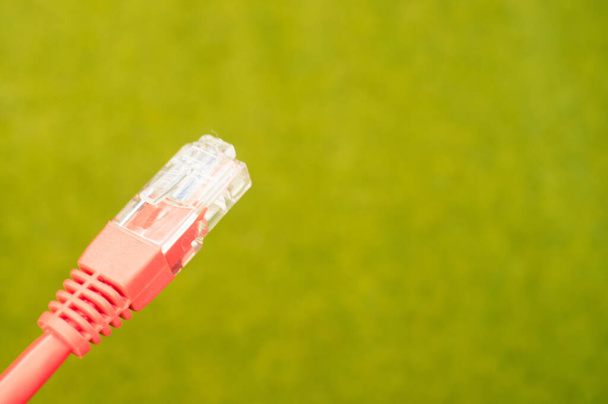 A selective focus shot of a pink patch cord top with a green grass surface on the background - Photo, Image
