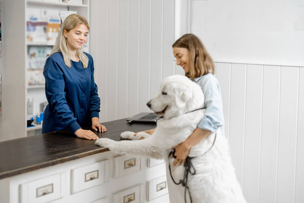Mujer con gran perro blanco en clínica veterinaria - Foto, Imagen