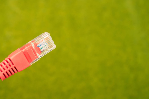 A selective focus shot of a pink patch cord top with a green grass surface on the background - Photo, Image