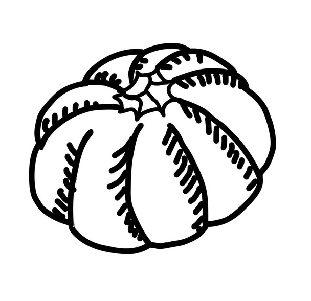 Pumpkin hand drawn illustartion - Vector, Imagen