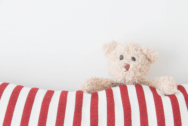 Teddy bear play hide and seek in the house, Happy feeling - Foto, immagini