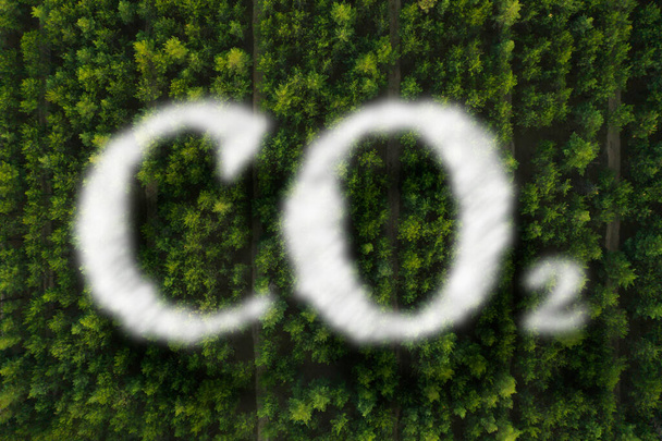 Concept of clear air. CO2 inscription and beautiful green forest, top view - Foto, afbeelding