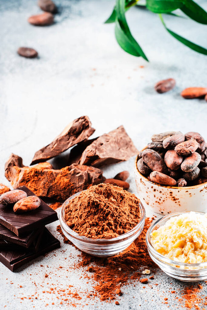 Various organic cocoa products: beans, powder, butter, dark chocolate, grated cocoa on gray table background - Φωτογραφία, εικόνα