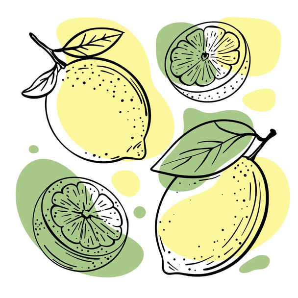 LEMON LIME Abstract Delicious Citrus Fruits With Leaves And Cut In Half For Design Your Store And Restaurant Menu Hand Drawn In Sketch Style Vector Illustration Set - Vektor, kép