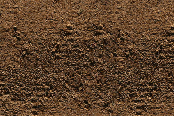 Ground texture - close-up of a fragment of brown compact and stony ground - stony background - Photo, Image