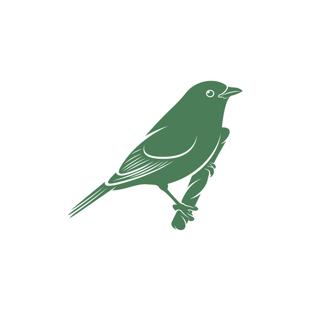 Saira Amarela kuş vektör çizimi. Saira Amarela kuş logosu tasarım şablonu. Yaratıcı sembol - Vektör, Görsel