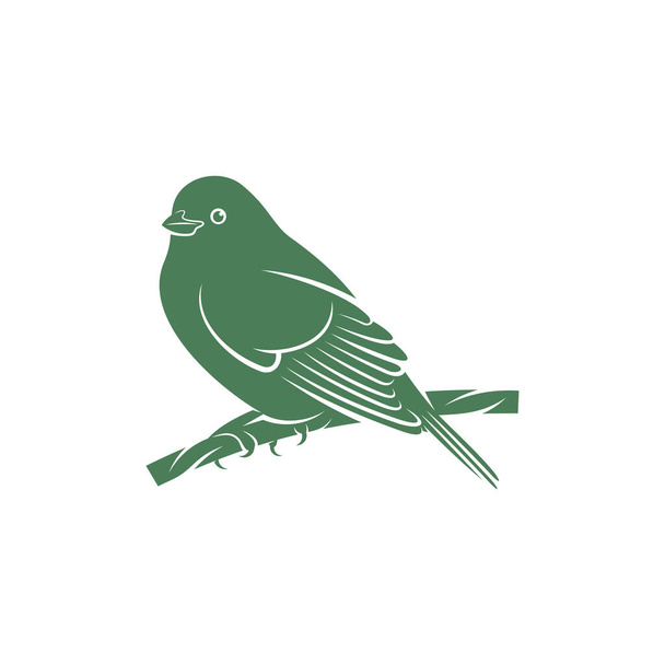 Saira Amarela uccello vettore illustrazione. Saira Amarela uccello logo modello di concetto di progettazione. Simbolo creativo - Vettoriali, immagini