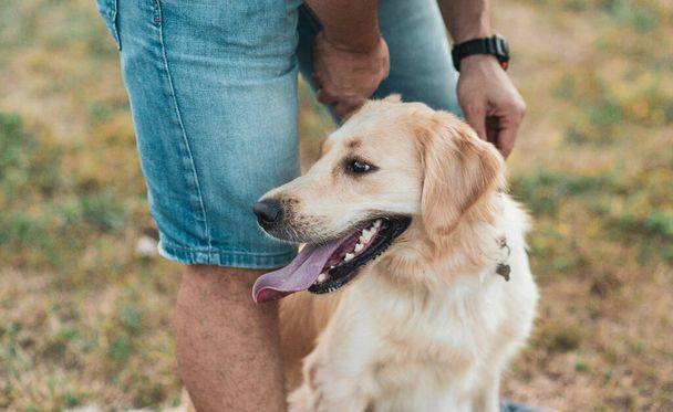 Porträt eines jungen Mannes, der mit Golden Retriever-Hund umschlungen sitzt. Freundschaft, Haustier und Mensch. Mann spielt mit Hund - Foto, Bild