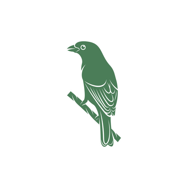 Saira Amarela uccello vettore illustrazione. Saira Amarela uccello logo modello di concetto di progettazione. Simbolo creativo - Vettoriali, immagini