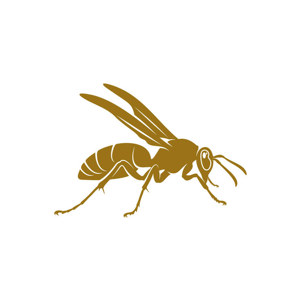 Ampiaisvektorikuva. Wasp logo suunnittelu konsepti malli. Luova symboli - Vektori, kuva