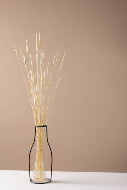 phleum pressed. dry meadow grass in a vase - Photo, Image