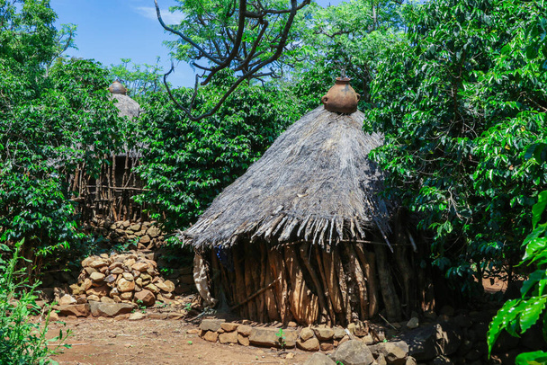 Традиционные дома в культурной деревне Консо, Эфиопия - Фото, изображение
