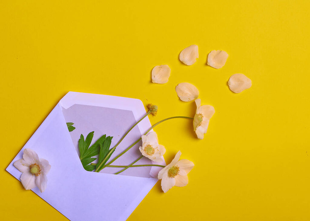 Fiori e petali in una busta su fondo giallo - Foto, immagini