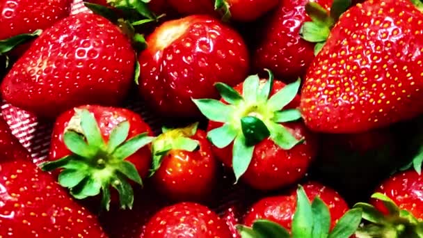 Organic strawberries are scattered on the table. Close-up videography - Footage, Video
