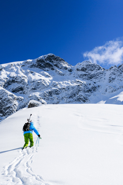 lyžování, lyžař, freeride v čerstvý prachový sníh - Fotografie, Obrázek