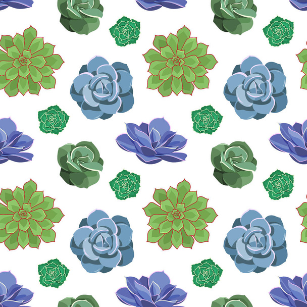 Seamless pattern of colored succulents of Echeveria. Desert flowers in cartoon style for print and design. Floral ornament of indoor plant. Vector illustration, colorful elements on a white background - Vector, Image