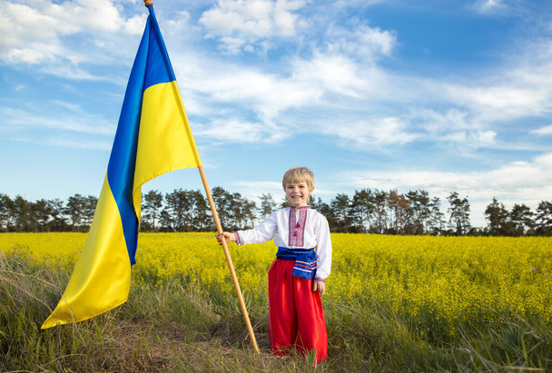 黄色の民族ウクライナの服で5歳の笑顔-菜の花畑の開花を背景に手に青の大きな旗。愛国教育、誇り、ウクライナの国の象徴 - 写真・画像