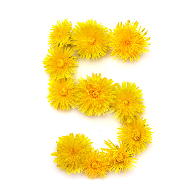 Number 5 of bright yellow dandelion flowers, isolate on a white background - Photo, Image