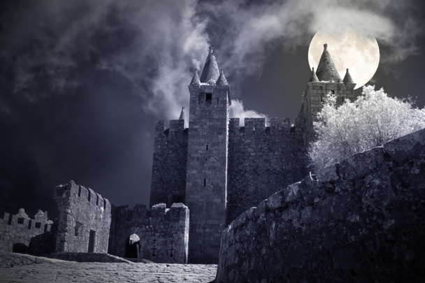 Misterioso castello in una notte di luna piena croccante. - Foto, immagini