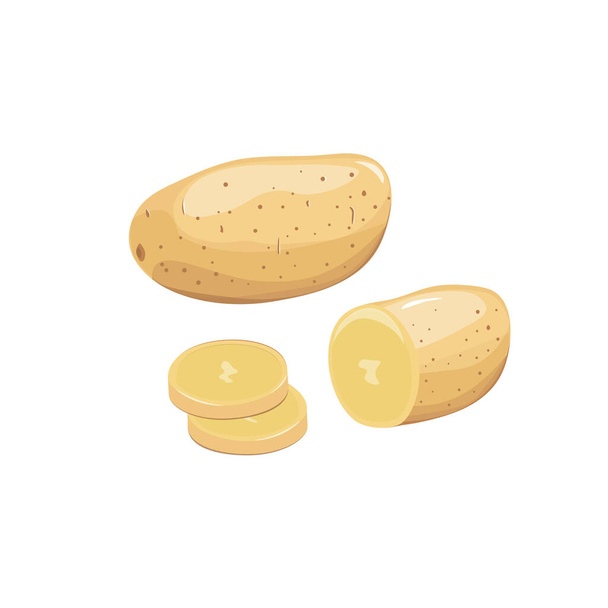 Potatoes and Cut Isolated. Half and Whole of Potato. Slice Vegetable - Vector, Image