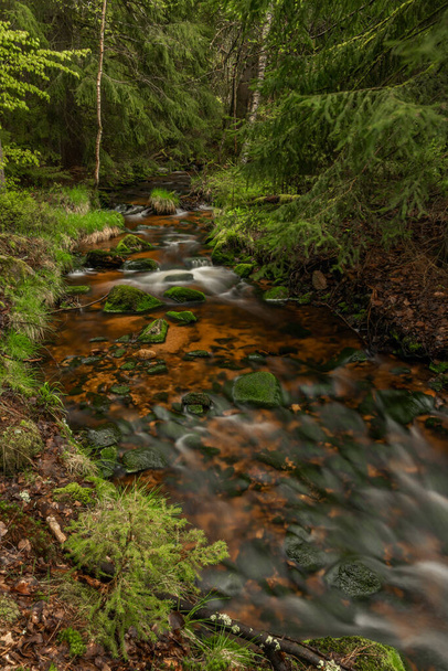 Skrivan color creek in Krusne mountains in spring morning after cold rain - Foto, afbeelding