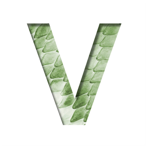 Snake scales font. The letter V cut out of paper on the background of a green snake skin with large scales. Set of decorative fonts. - Foto, afbeelding
