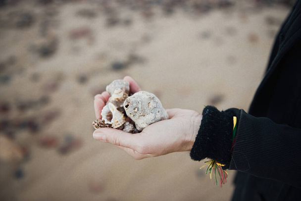 Conchas de mar en las manos de las mujeres. Recoger conchas vacías, tomar conchas del concepto de playa. - Foto, Imagen