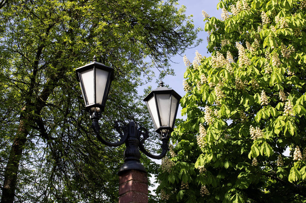 Retro style lantern among green leaves close up - Foto, immagini