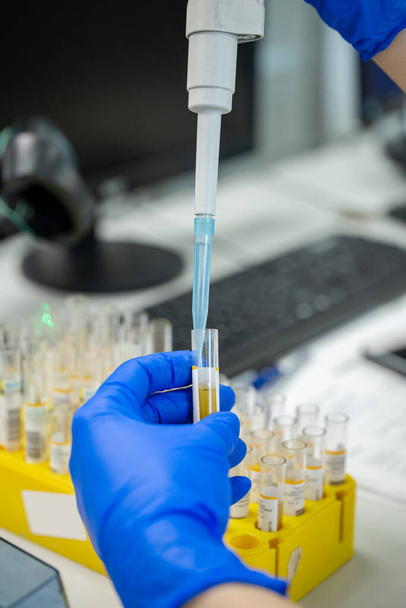 Labortechniker in blauen Handschuhen im Labor in Großaufnahme. - Foto, Bild