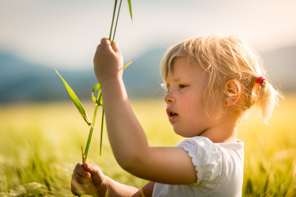девочка в пшеничном поле - Фото, изображение
