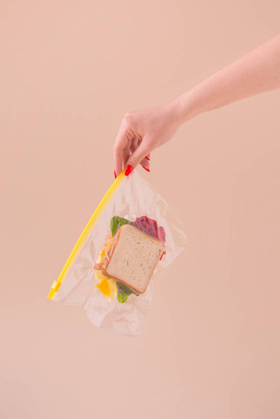 Beautiful woman hand holding vacuum plastic bag with sandwich made of fresh flowers. Spring creative concept. - Fotoğraf, Görsel