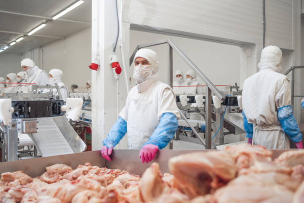 Et işleme tesisi. Bir tavuk fabrikasında çalışan bir grup işçi gıda işleme fabrikası kavramları. Modern gıda fabrikasında üretim hattı.. - Fotoğraf, Görsel