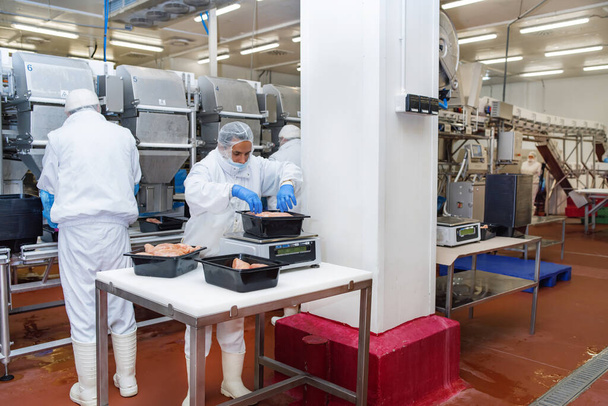 Gruppo di lavoratori che lavorano in un impianto di trasformazione alimentare di pollo concepts.Chicken filet linea di produzione . - Foto, immagini