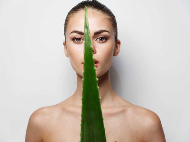  aloe leaf in the hands of a woman with bare shoulders clear skin  - Photo, Image